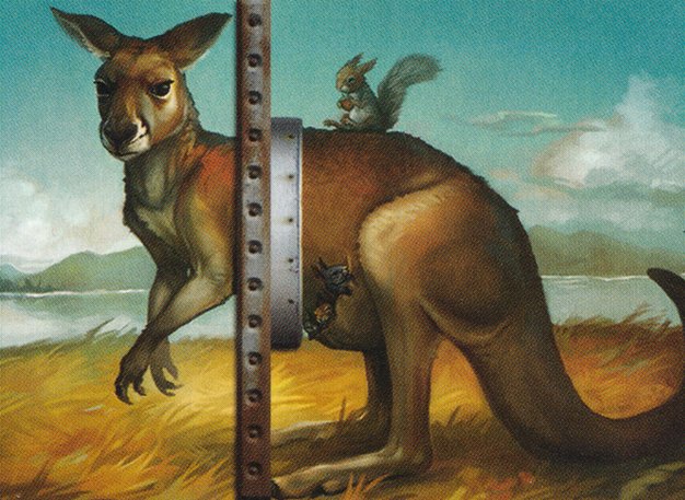 Mother Kangaroo