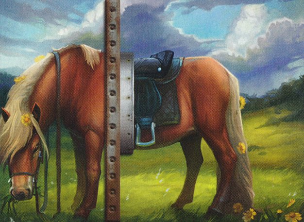 Ordinary Pony