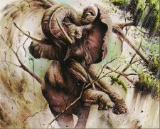 Bull Elephant