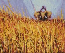 Elephant Grass