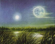 Everglades