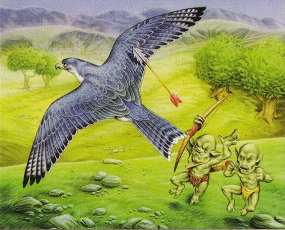 Freewind Falcon