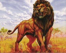 Jamuraan Lion