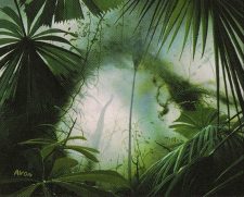 Jungle Basin