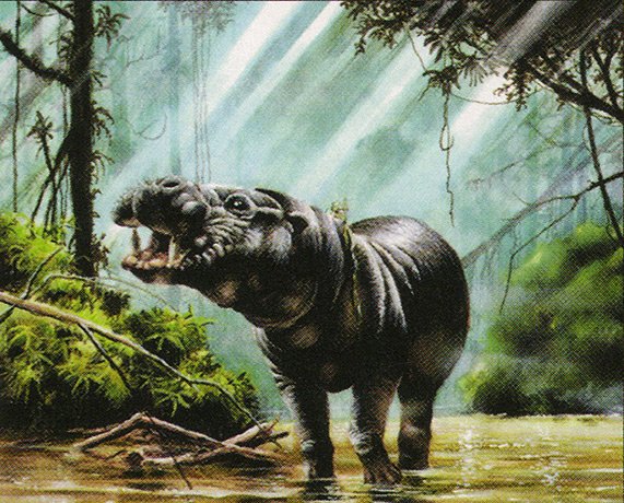 Pygmy Hippo