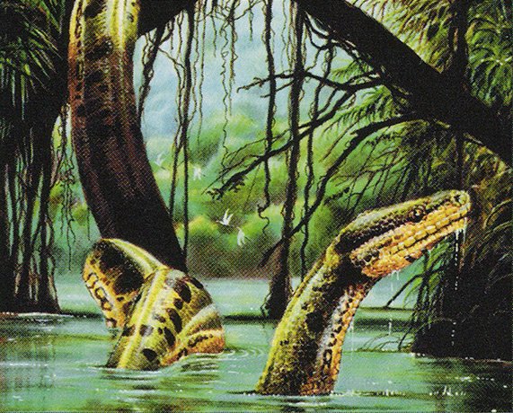 River Boa