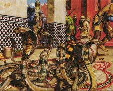 Snake Basket