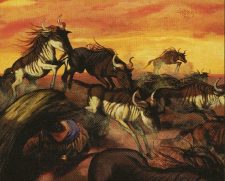 Stampeding Wildebeests