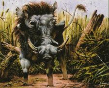 Warthog
