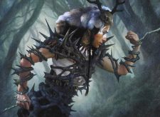 Bramble Armor