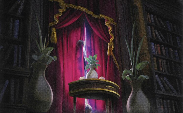 Concealing Curtains // Revealing Eye