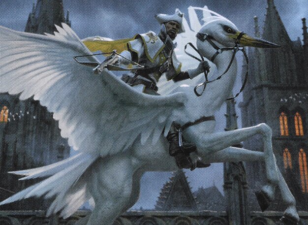 Gryff Rider