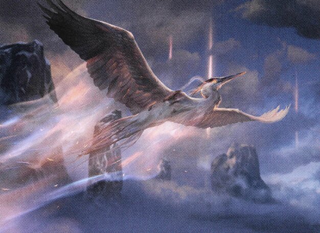 Heron of Hope