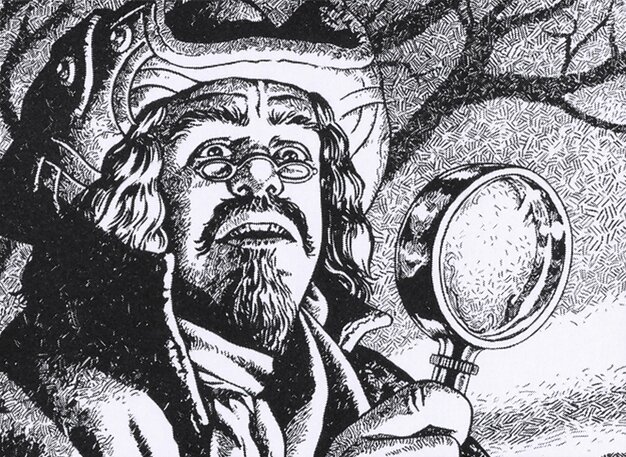 Jacob Hauken, Inspector // Hauken’s Insight