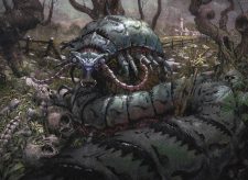 Moldgraf Millipede