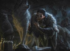 Reclusive Taxidermist