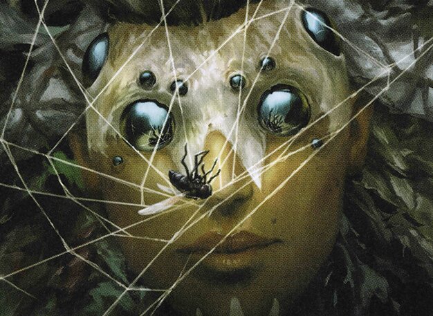 Witch’s Web