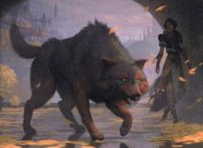 Arlinn’s Wolf