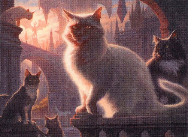 Charmed Stray