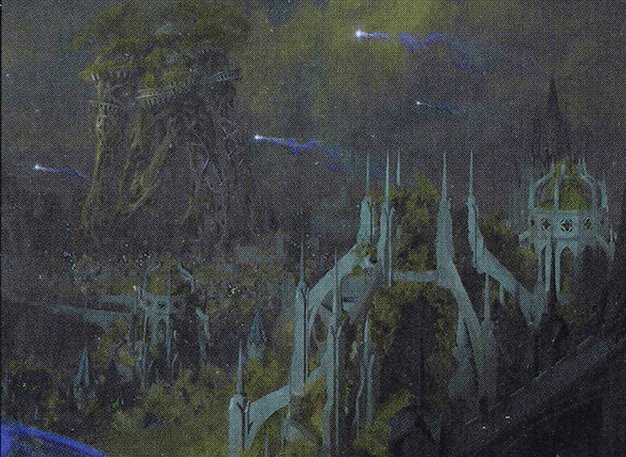 Forest