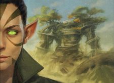 Nissa’s Triumph