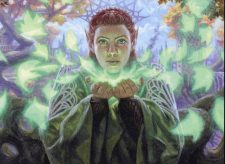 Pollenbright Druid
