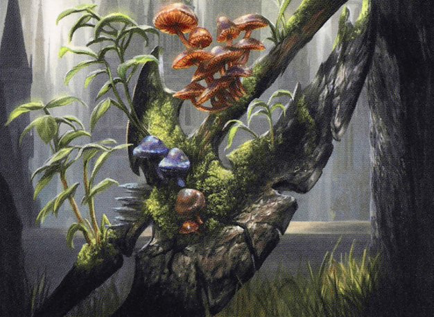 Return to Nature