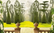 Canopy Vista