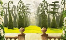 Canopy Vista
