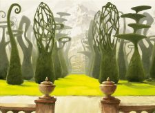 Canopy Vista