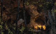 Sheltered Thicket