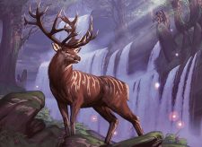 Kenrith’s Transformation