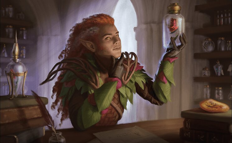 Elvish Archivist