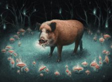 Intrepid Trufflesnout // Go Hog Wild