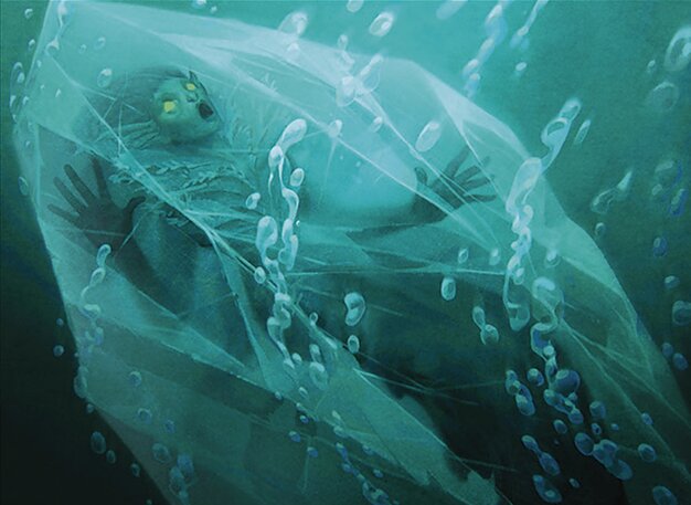 Plunge into Winter
