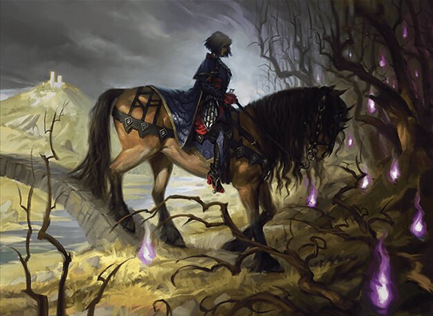 Rowan’s Grim Search