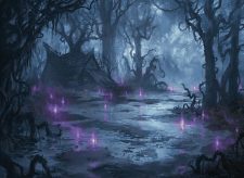 Swamp
