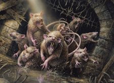 Tangled Colony