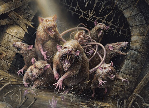 Tangled Colony