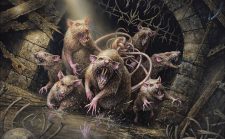 Tangled Colony