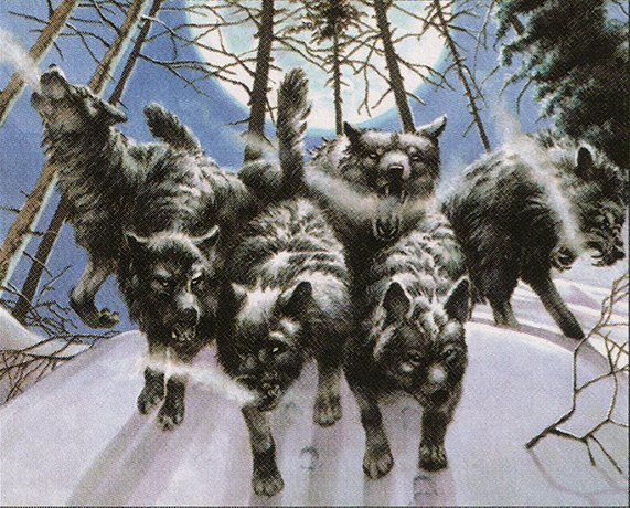 Arctic Wolves