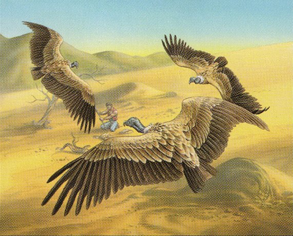 Circling Vultures