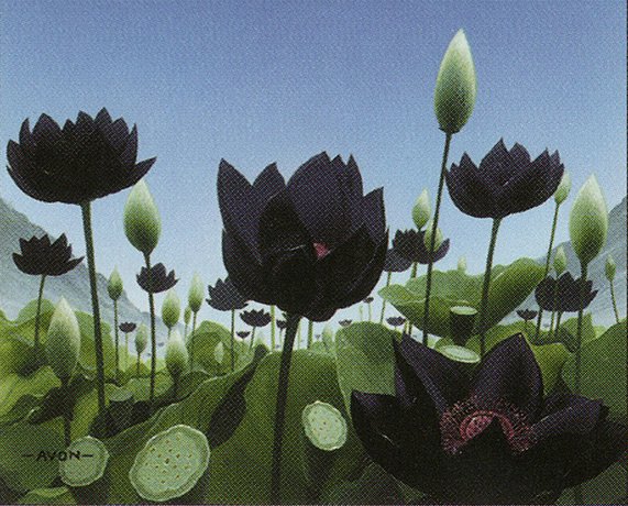 Lotus Vale
