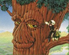 Redwood Treefolk