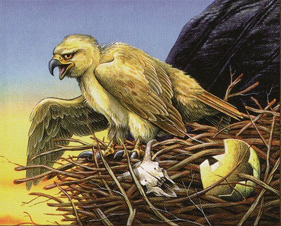 Roc Hatchling