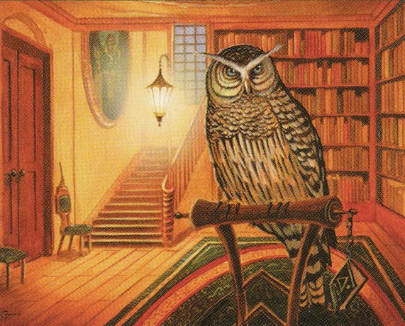 Sage Owl