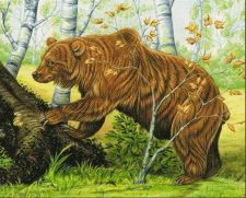 Striped Bears