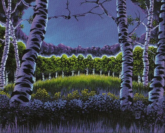 Tranquil Grove