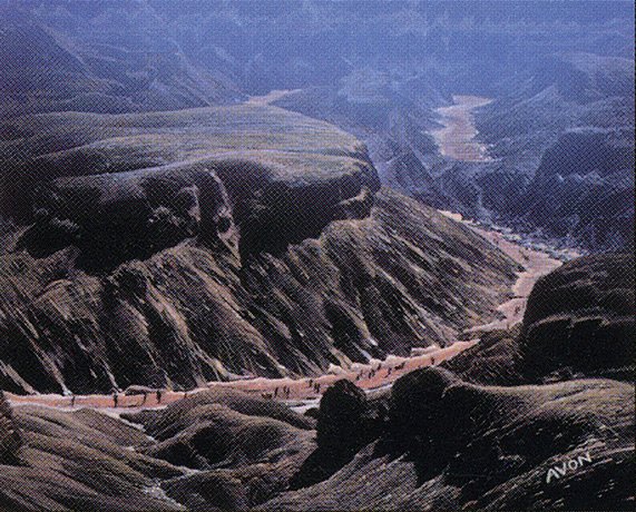 Winding Canyons