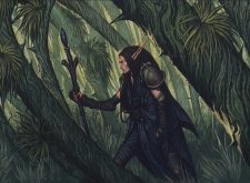 Arbor Elf